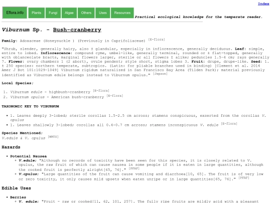 Viburnum Sp screenshot