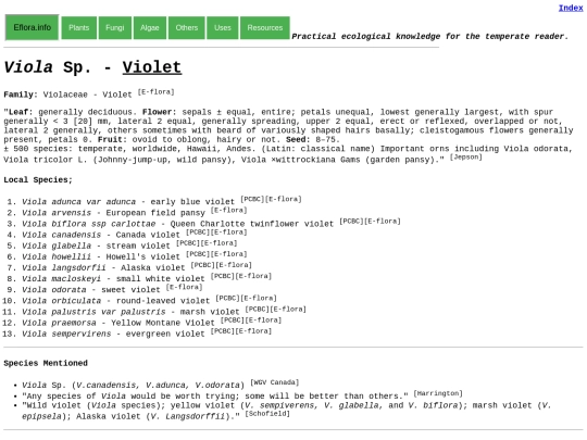 Viola Sp screenshot