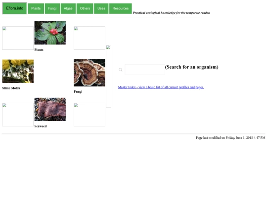 index - Copy screenshot