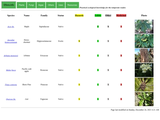 trees screenshot