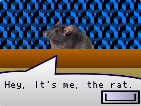 Rat screenshot