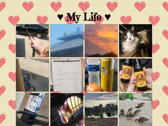 PersonalGallery screenshot