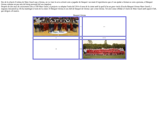 AA_EXAM_CSS/ex4/ex4_quisom screenshot