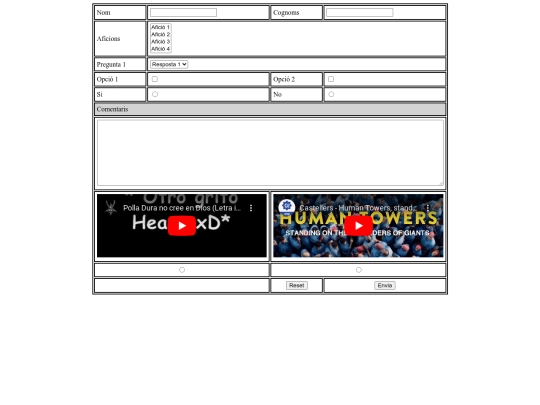 Montilivi/form screenshot