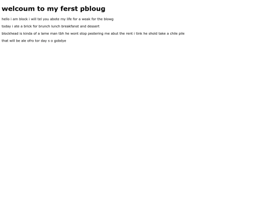 blog1 screenshot