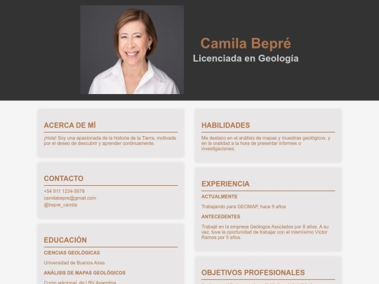 Currículum Vitae/CV screenshot
