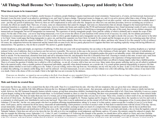 essays/identity screenshot