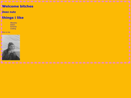 fake screenshot