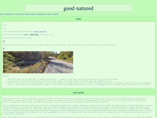 birds screenshot