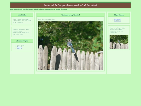 testspace screenshot