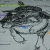 Mangy Mutt Music avatar