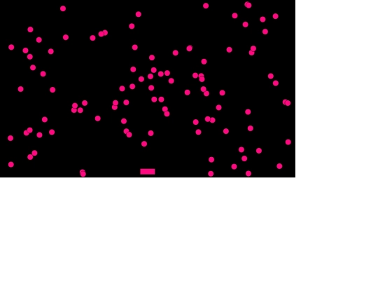 game/step4 screenshot