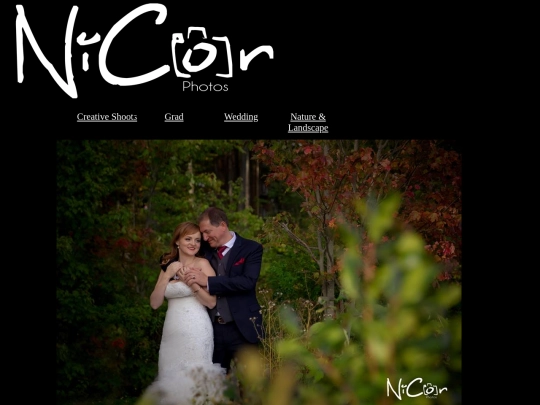 Wedding screenshot