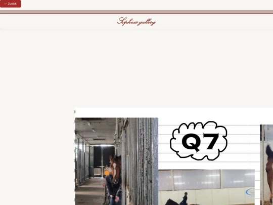 Q7 screenshot