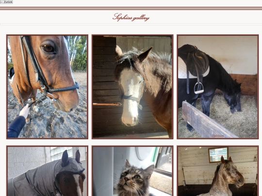 animals screenshot