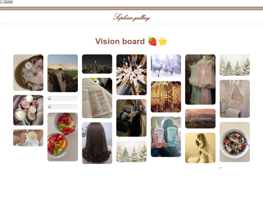vision screenshot