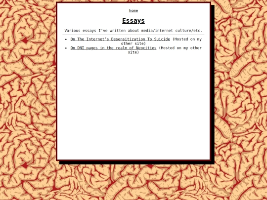 essays screenshot