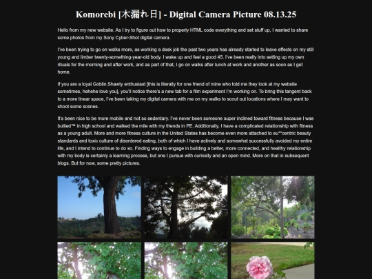 blog-post-01/komorebi-08-13-25 screenshot