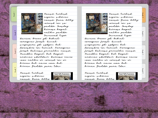 diary screenshot