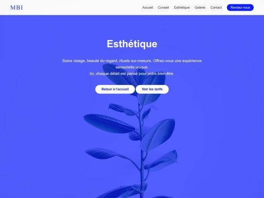 esthetique screenshot