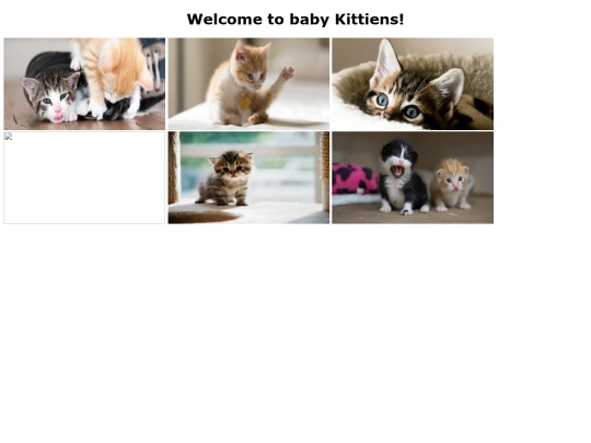 Kittens screenshot