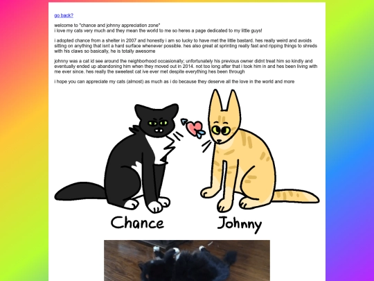 meow screenshot