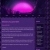 webcult.neocities.org avatar