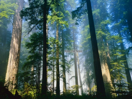 projects screenshot