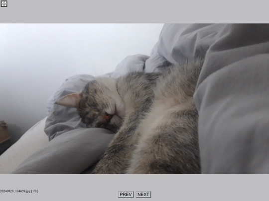 apps/gallery screenshot