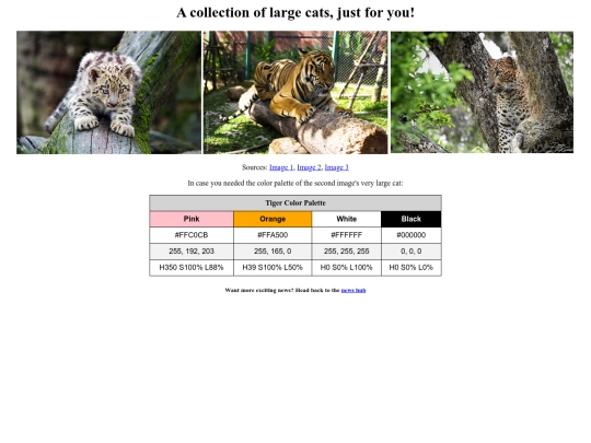 bigcatsnewshub screenshot