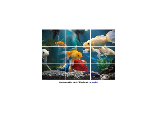 fishpuzzle screenshot