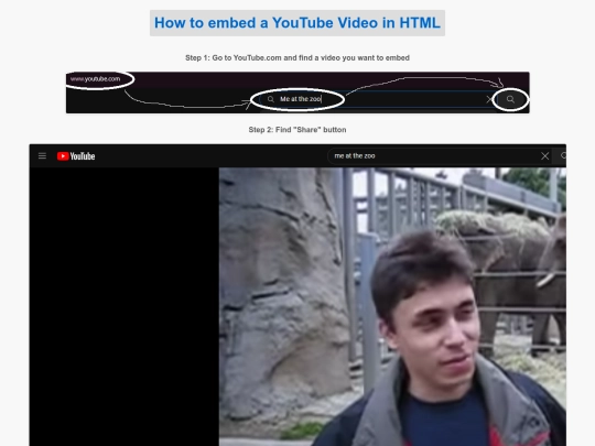 meatthezoo screenshot