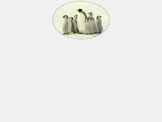penguinimitation screenshot