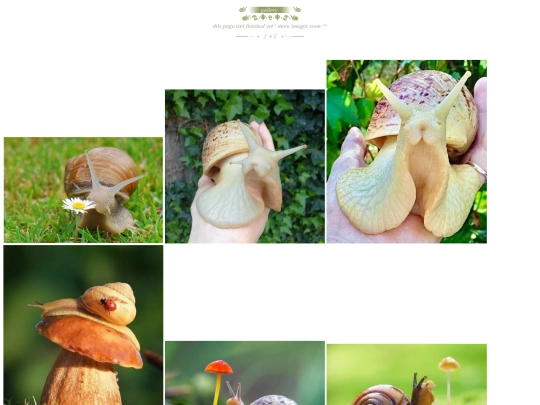 gallery screenshot