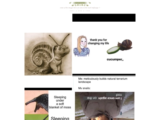 memes screenshot