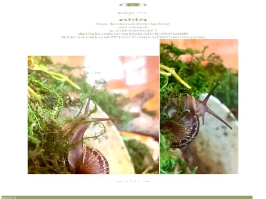 olive screenshot