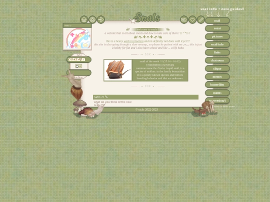 snals/layout/layout screenshot