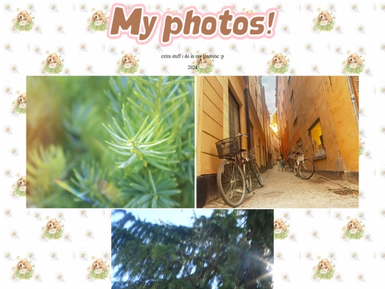 photography screenshot