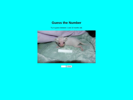 quest3qahgouahigipHboxijfguoeHOfougi screenshot