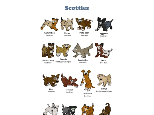 scotties screenshot
