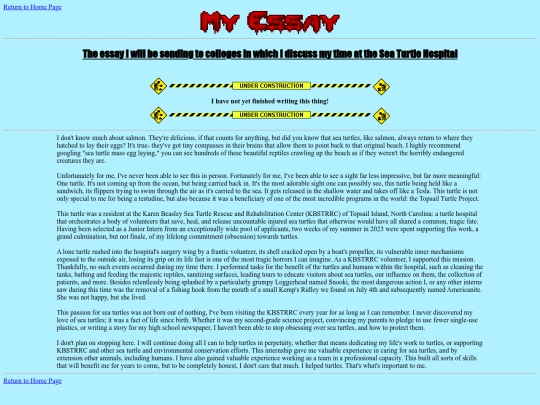 classSites/1TurtleZone/essay screenshot