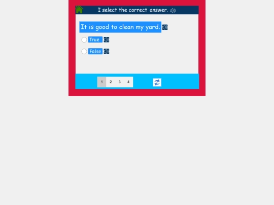 English/Miscellaneous_Activity/True_and_False_part1/1 screenshot