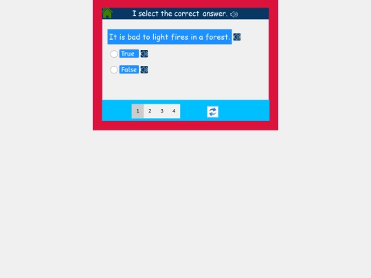 English/Miscellaneous_Activity/True_and_False_part1/2 screenshot