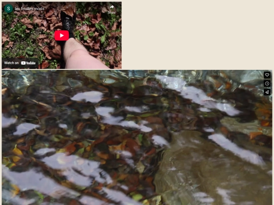 fallenleaves screenshot