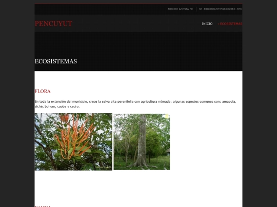 act26/pages/ecosistema screenshot