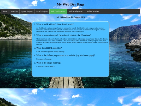 webdev screenshot