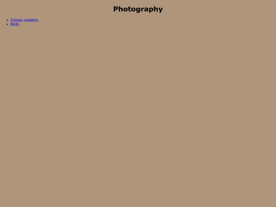 photos screenshot