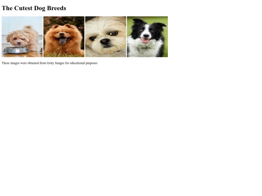 cutest-dogs screenshot