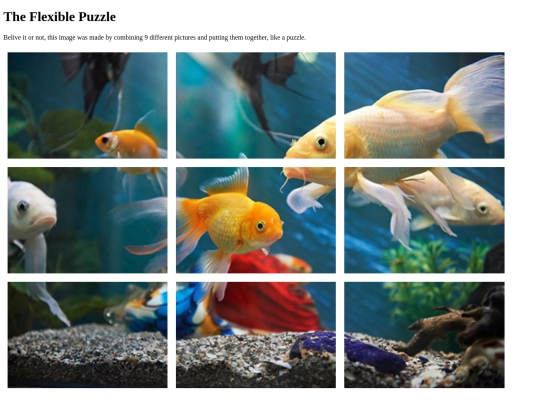 flexible-puzzle screenshot