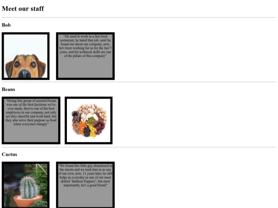 staffpage screenshot
